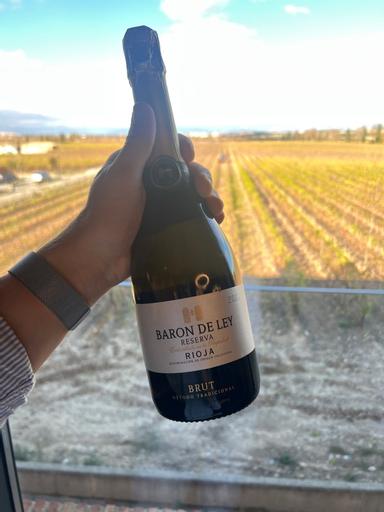 Baron de Ley Reserva Sparkling Rioja Brut