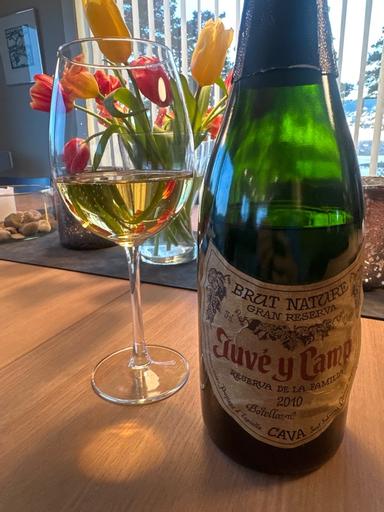 Juve Y Camps Reserva de la Familia Gran Reserva Cava