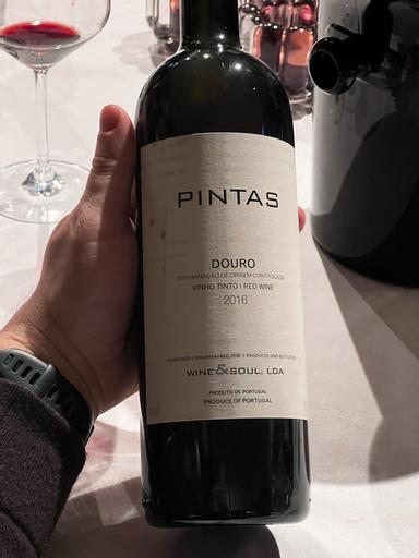 Wine & Soul Pintas Douro