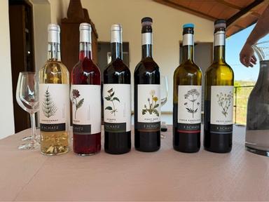 Schatz A Finca Sanguijuela