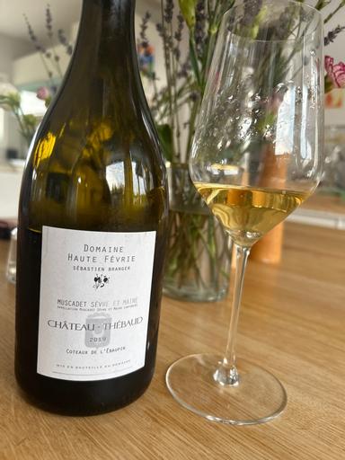 Domaine Haute Fevrie Muscadet Sevre et Maine Chateau Thebaud