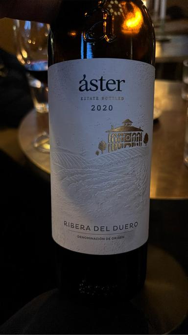 Aster Ribera del Duero Reserva