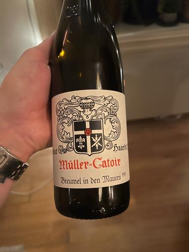 Müller-Catoir Bürgergarten Im Breumel Riesling GG