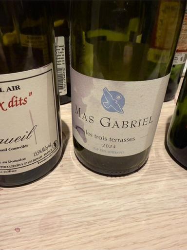 Mas Gabriel Pezenas Trois Terrasses