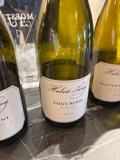 Hubert Lamy Saint-Aubin La Princée