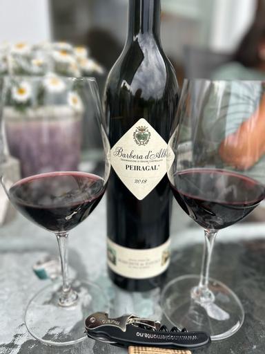 Marchesi di Barolo Peiragal Barbera D'Alba