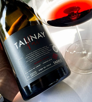 Tabali Talinay Pinot Noir Limari Valley