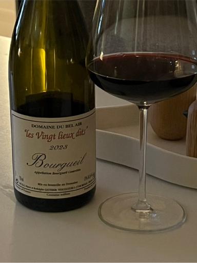 Dom. du Bel Air Bourgueil Vingt Lieux Dits