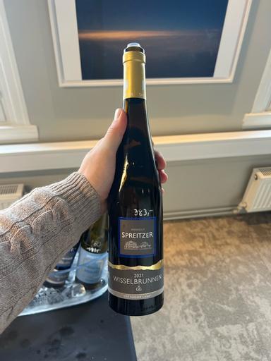 Weingut Spreitzer Hattenheimer Wisselbrunnen Riesling GG Rheingau