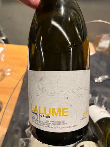 Dominio do Bibei Lalume Ribeira Sacra