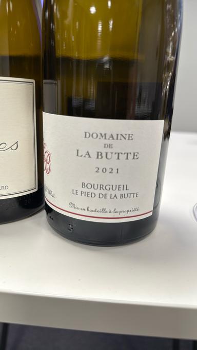 Domaine de la Butte Bourgueil Pied de la Butte