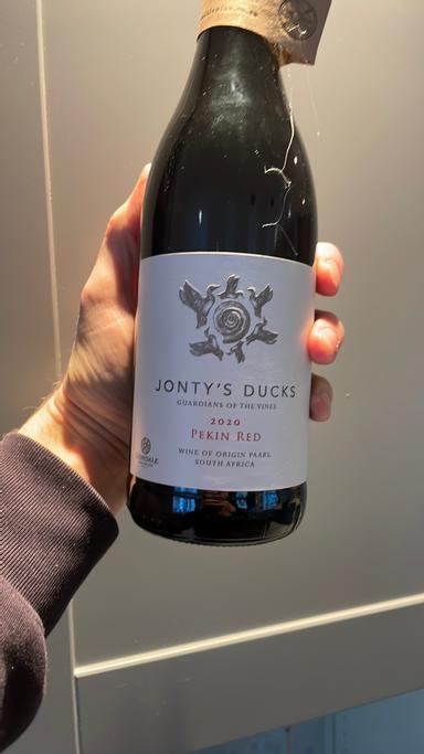 Jonty's Ducks Pekin Red