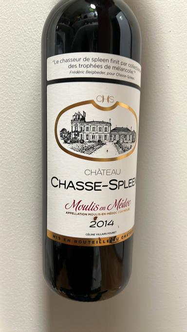 Chateau Chasse-Spleen Moulis en Medoc