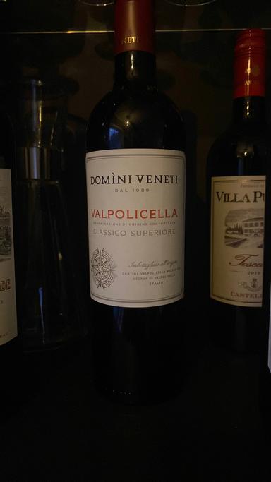 Domini Veneti Valpolicella Classico Superiore