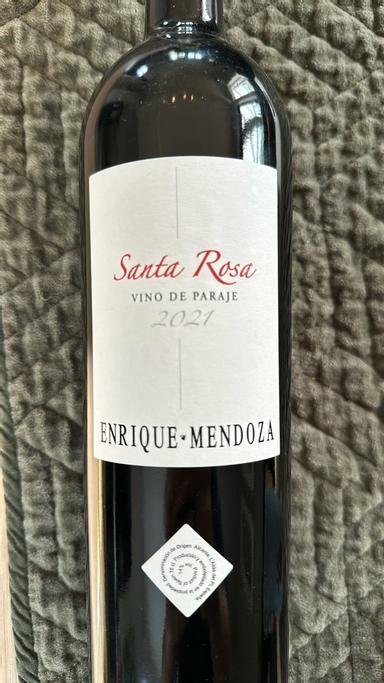 Enrique Mendoza Santa Rosa