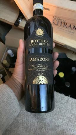 Bottega Il Vino degli Dei Amarone della Valpolicella | Vinify