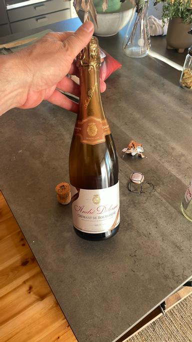 Andre Delorme Cremant de Bourgogne