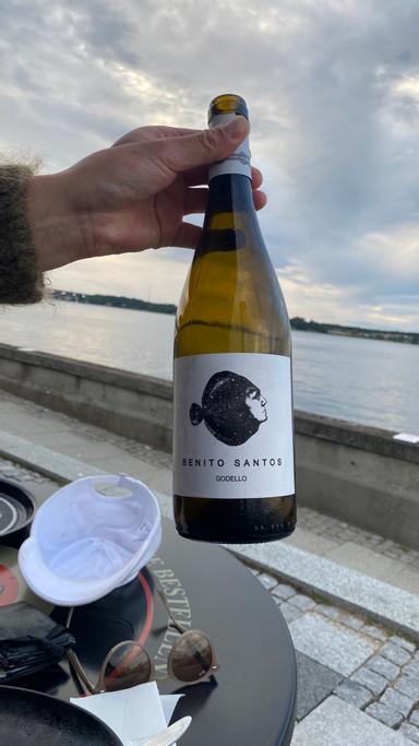 Benito Santos Godello Monterrei