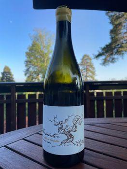 Momento Chenin Blanc Verdelho Western Cape