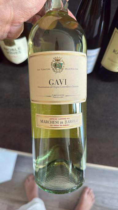 Marchesi di Barolo Gavi