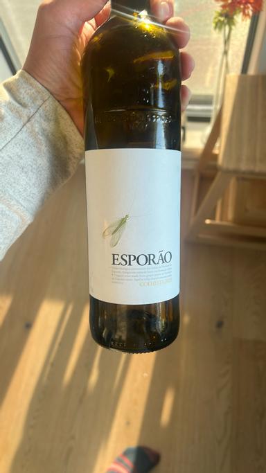 Esporao Colheita Branco