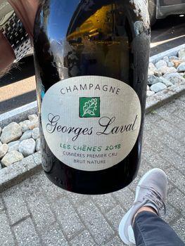 Georges Laval Les Chenes Brut Nature Premier Cru Cumieres