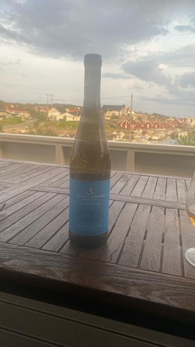 Adega Moncao Alvarinho Trajadura Vinho Verde