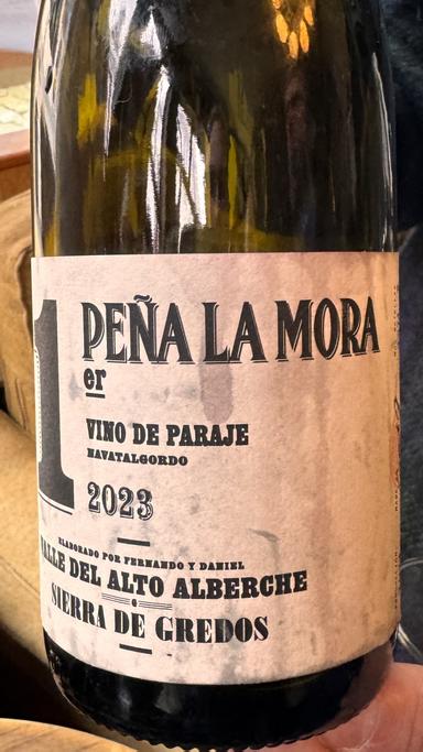 Comando G Pena la Mora 1er