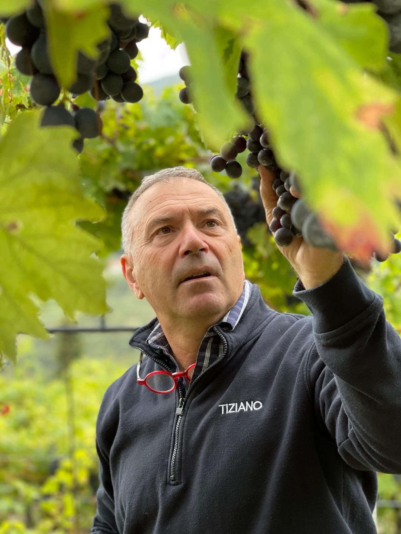 Winemakers Dinner med Accordini_image
