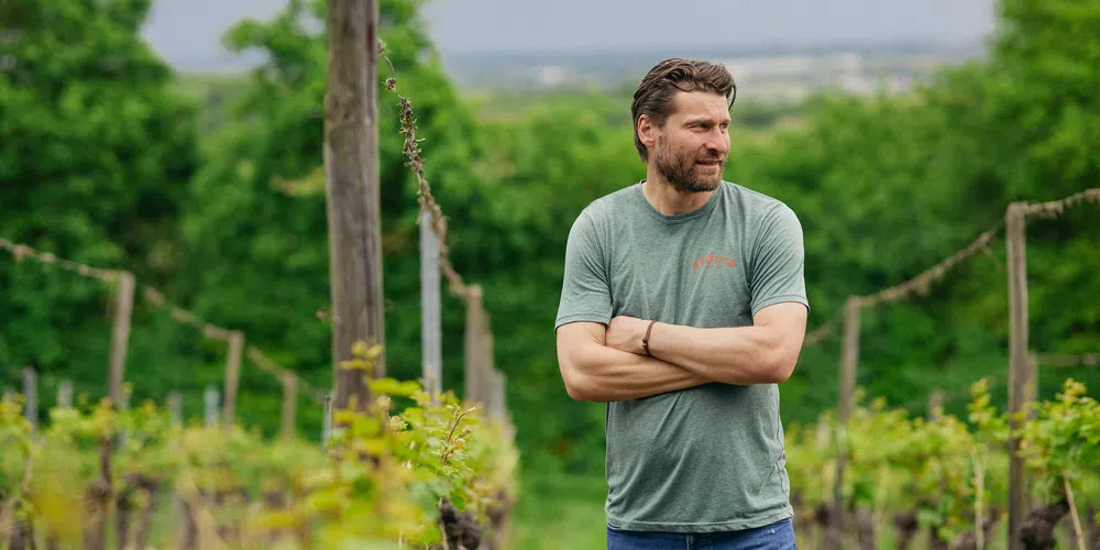 Riesling og andre type viner med vinmaker Alexander Pflüger_image