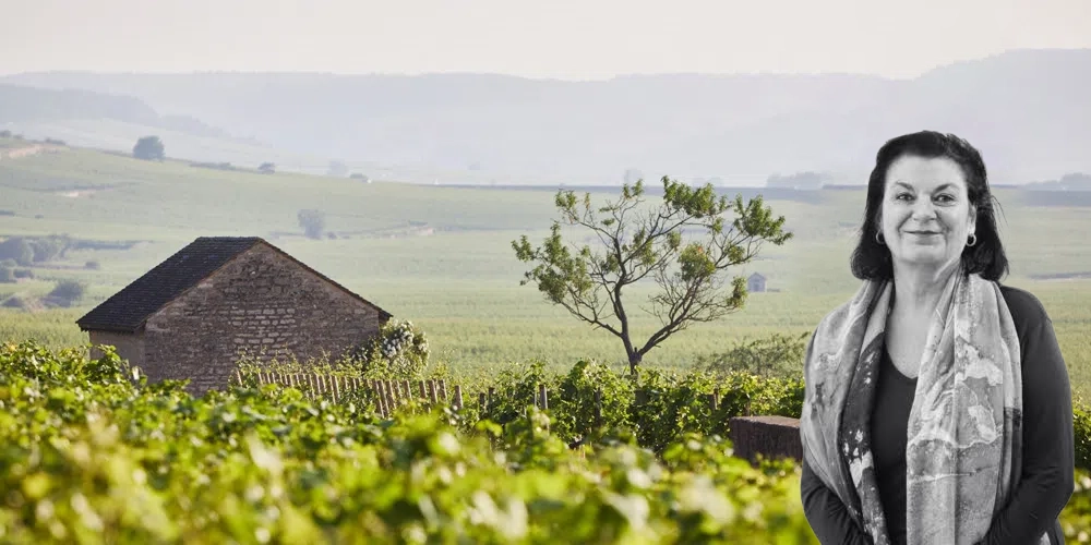 Lær og forstå mystikken bak Bourgogne med Mai Tjemsland, Master of Wine_image
