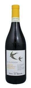 Terre del Barolo Le Rondini Langhe Nebbiolo