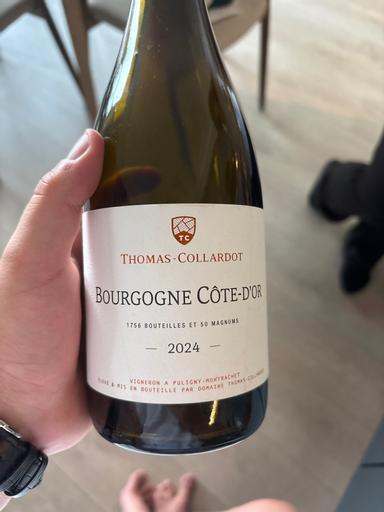 Collardot Bourgogne Côte d'Or Blanc.