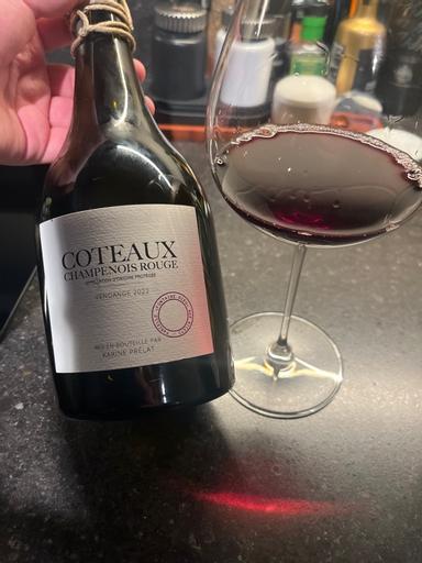 Julien Prélat Coteaux Champenois Rouge