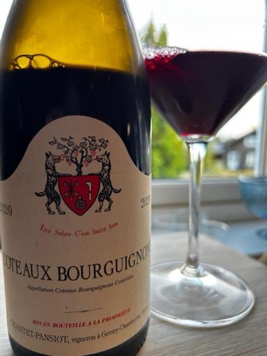 Geantet-Pansiot Coteaux Bourguignons Gamay