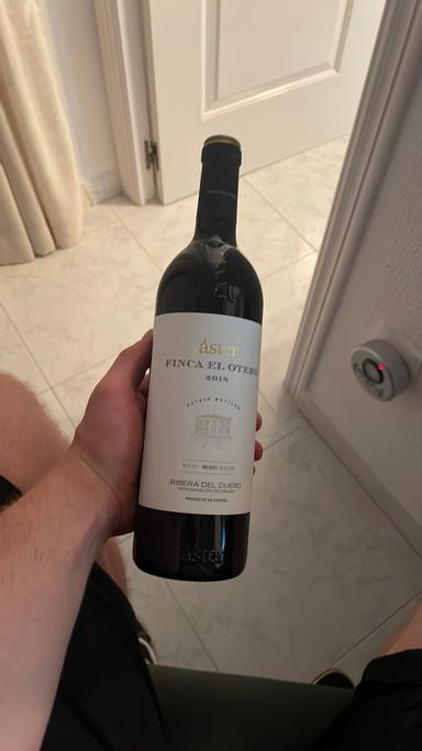 Áster Finca el Otero