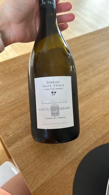 Domaine Haute Fevrie Muscadet Sevre et Maine Chateau Thebaud