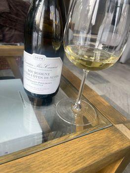 Meo Camuzet Bourgogne Hautes Cotes de Nuits St Phillibert Blanc